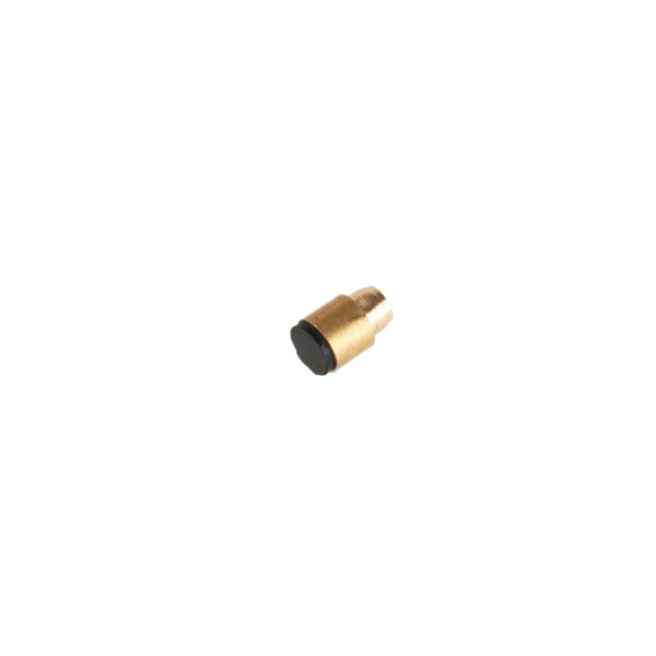 Petromax Pumpenventileinsatz 17 (HK150/250/350/500)