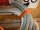 FixPlus Strap Orange 46 cm mit Griff